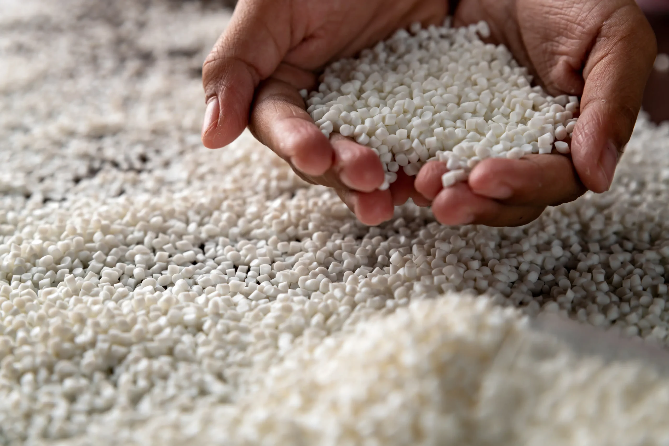 Digitalisation de la gestion des commandes